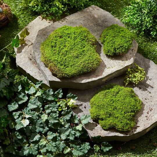 Green Faux Moss Pad Set